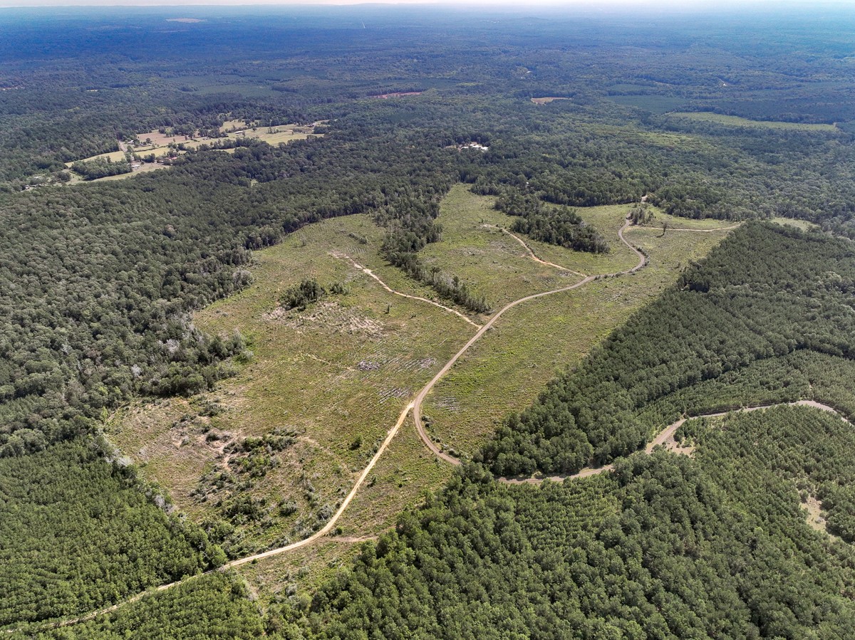 1 County Road 3725 Colmesneil, TX 75938 - Photo 6 of 33