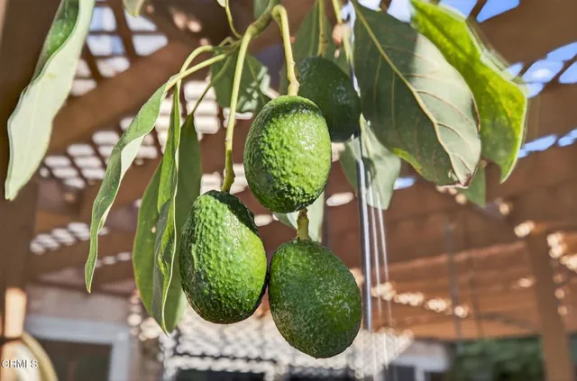 $949,000 | 133 Nevada Avenue, Ventura, CA 93004