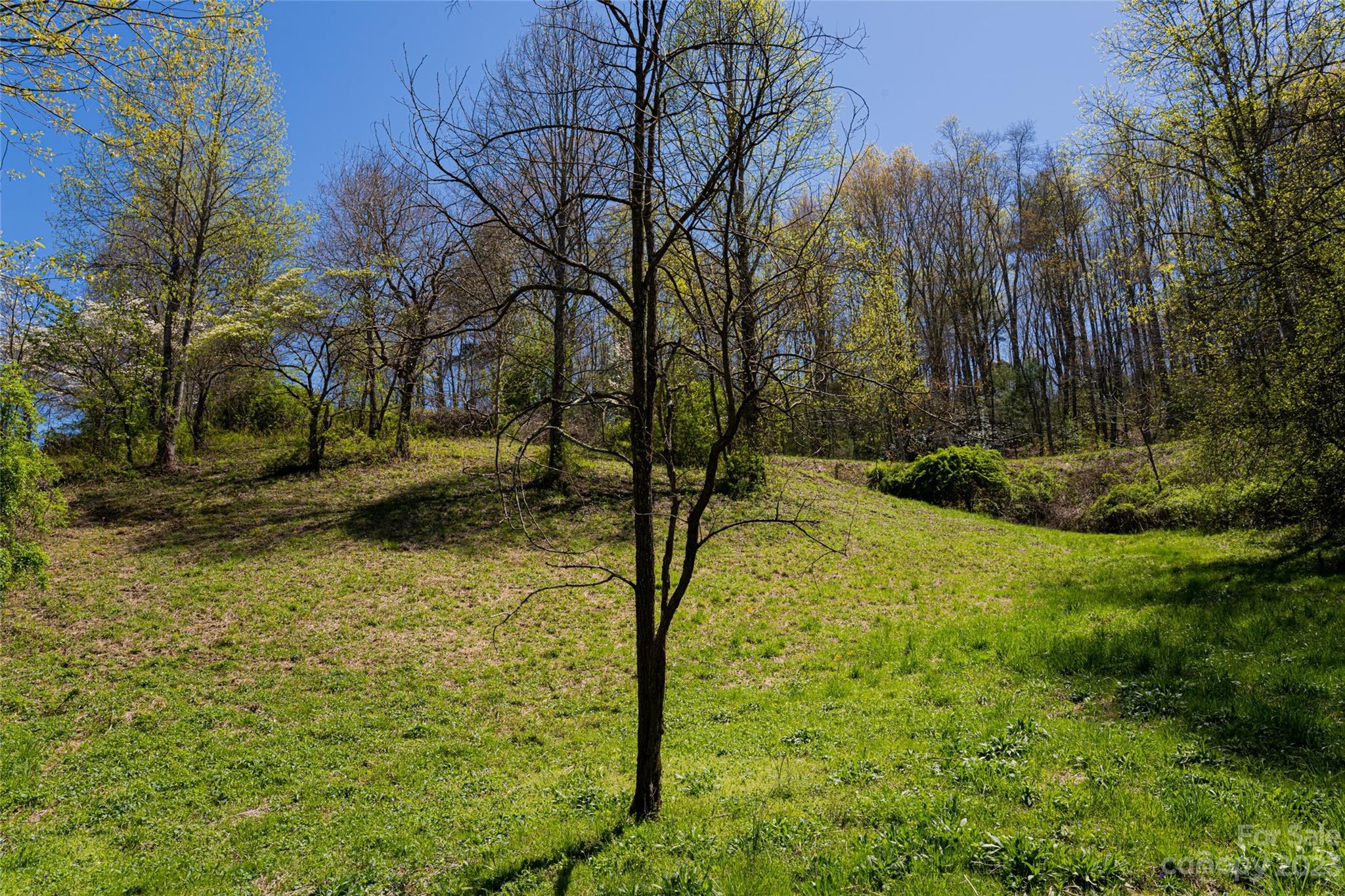 9999 Greasy Cove Road Leicester, NC 28748 - Photo 14 of 14 Gallery Image 14