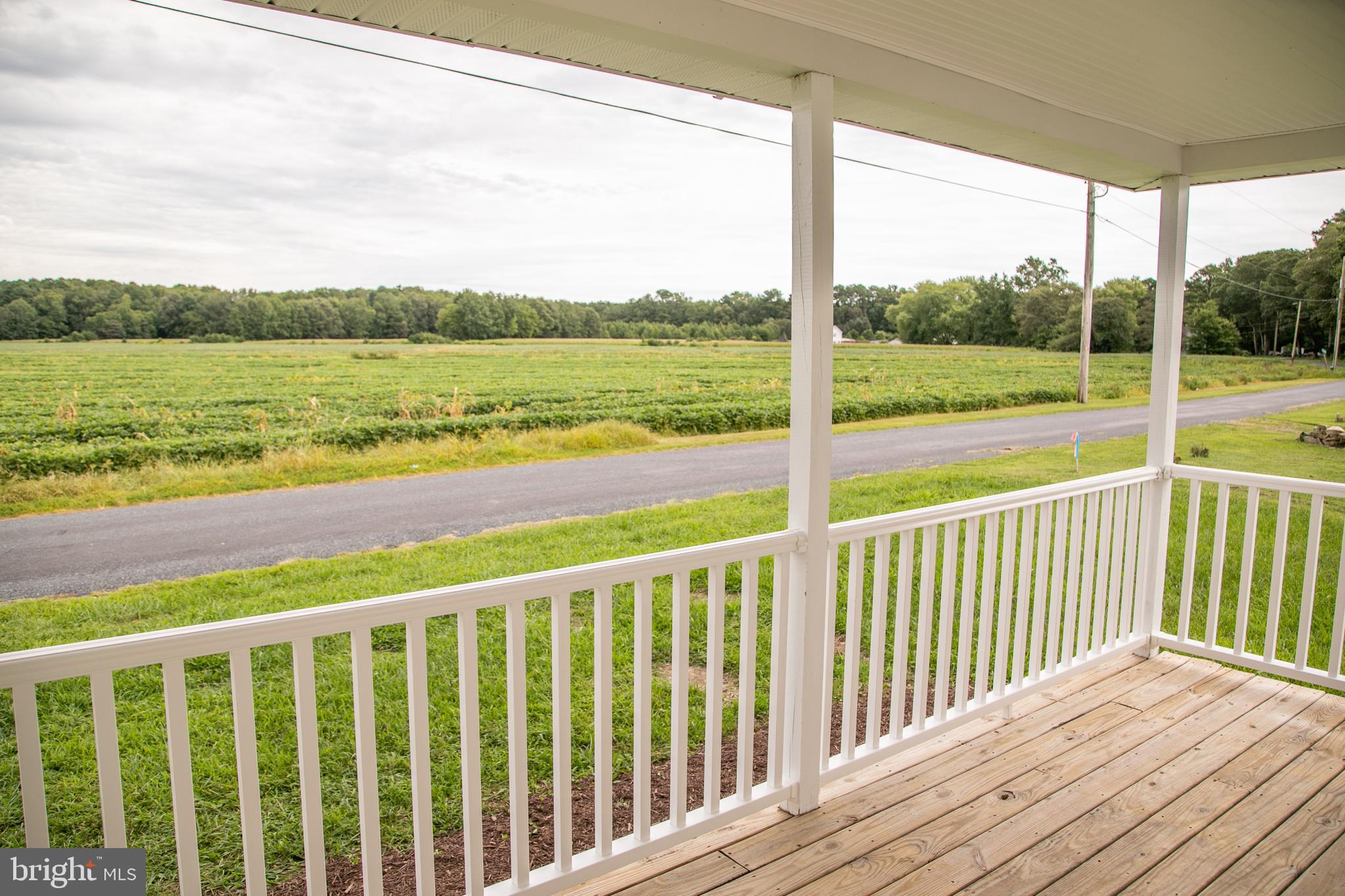 30945 McCormick Swamp Road Princess Anne, MD 21853 - Photo 4 of 39