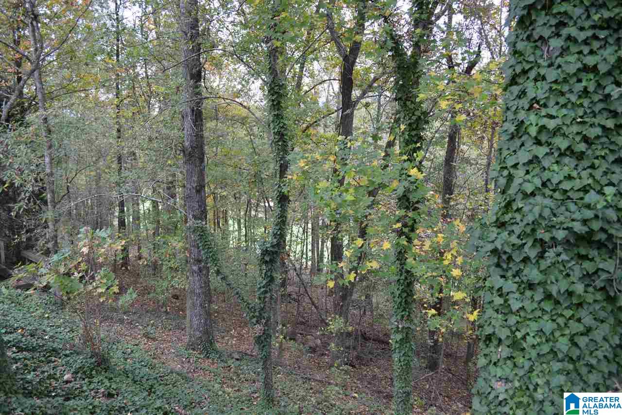 1184 Berwick Road Birmingham, AL 35242 - Photo 50 of 50