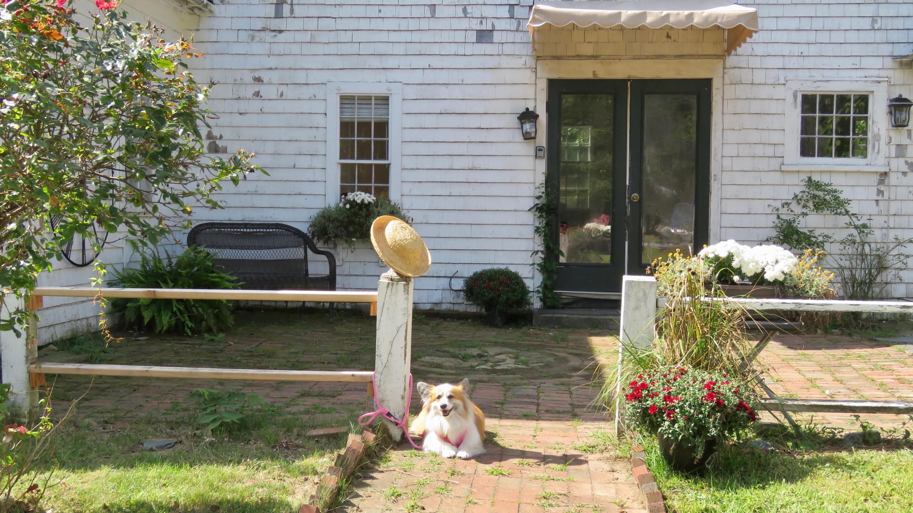 60 Corporation Road Dennis, MA 02638 - Photo 18 of 24 IMG_7525