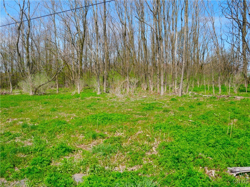 2.75 acres!