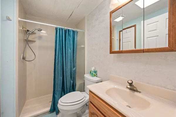 a bathroom with a sink a toilet and shower