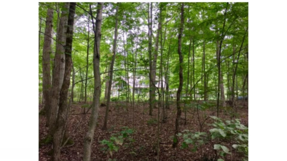 7269 Rolling Road Newaygo, MI 49337 - Photo 2 of 31 7269 S ROLLING RD (5)