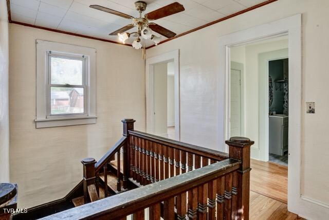 1427 Highway 93 Fall Branch, TN 37656 - Photo 29 of 46 29 Medium