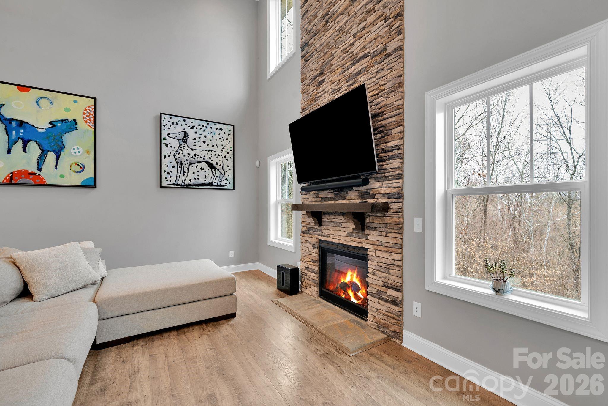 663 Highland Ridge Point Lake Wylie, SC 29710 - Photo 7 of 42 a living room with furniture a flat screen tv and a fireplace