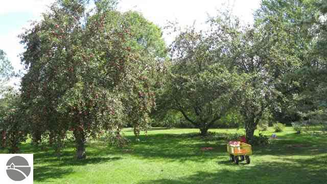 6646 Moores Junction Road Sterling, MI 48659 - Photo 5 of 9 1753387-4.JPG