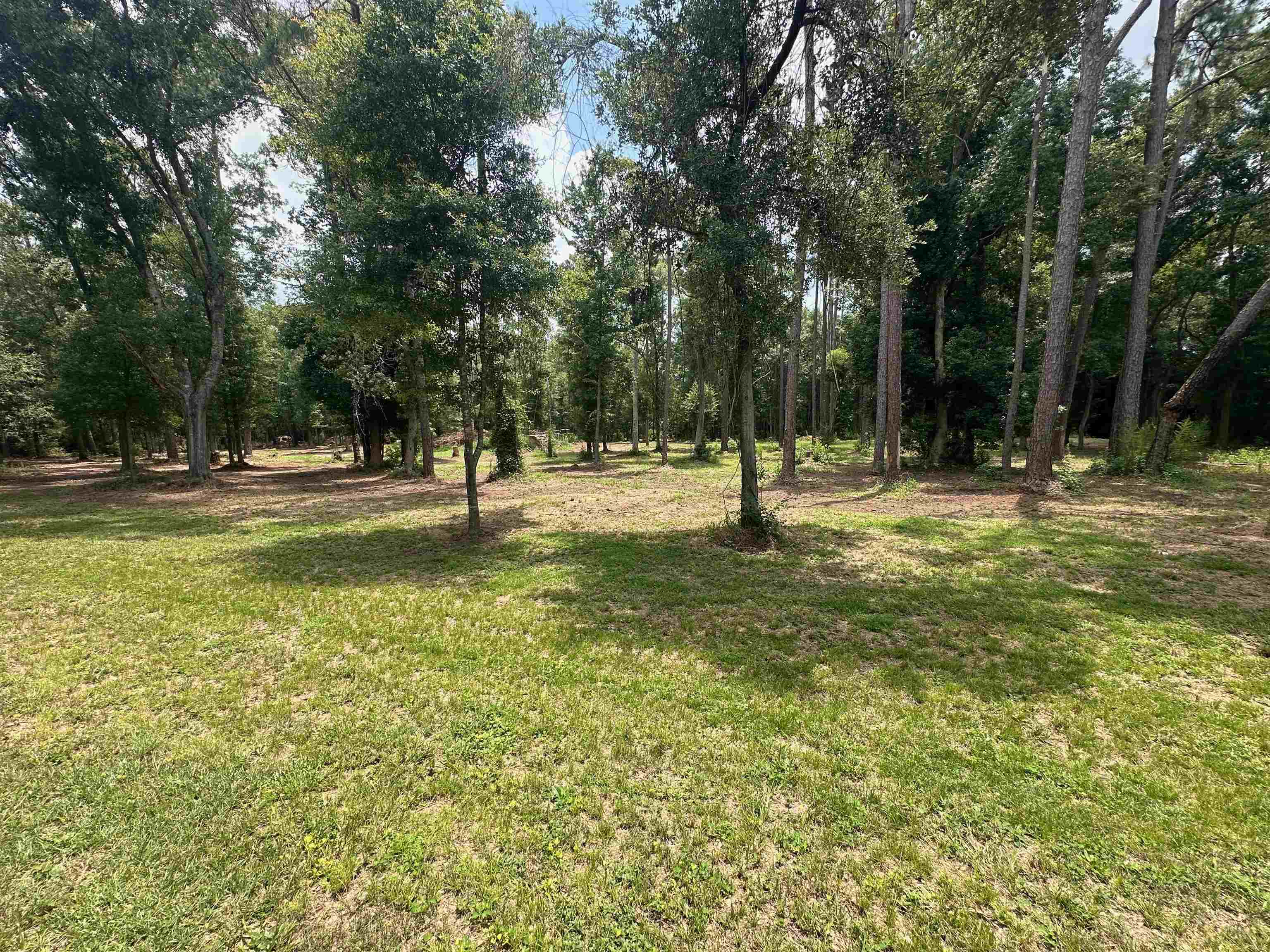 23040 Forland Road Silverhill, AL 36576 - Photo 3 of 13 Yard