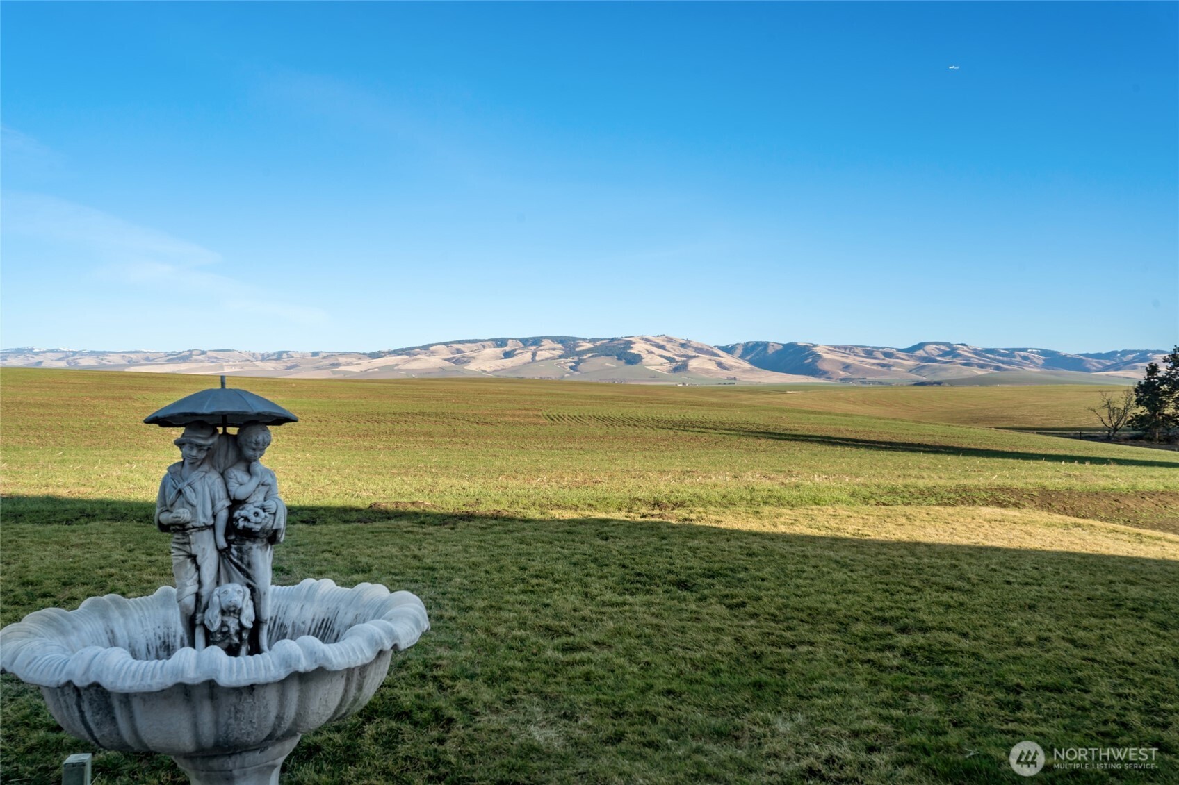 1321 Rooster Road Walla Walla, WA 99362 - Photo 6 of 40 Gallery Image 6