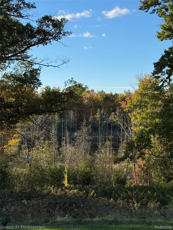 3608 South State Road Glennie, MI 48737 - Photo 13 of 42