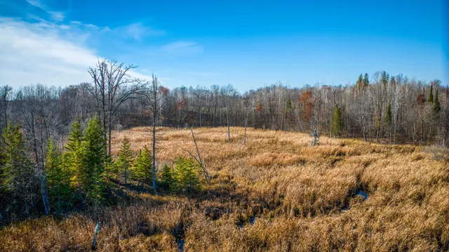 $425,000 | 21740 Highway 89, Puposky, MN 56667