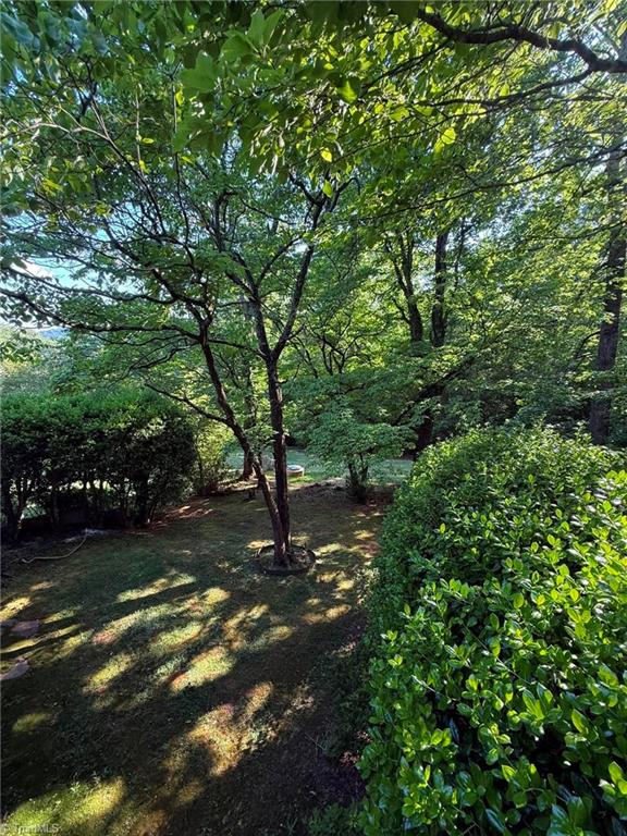 2 Hunting Country Trail Tryon, NC 28782 - Photo 43 of 43