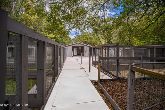 a view of outdoor space with trees all around