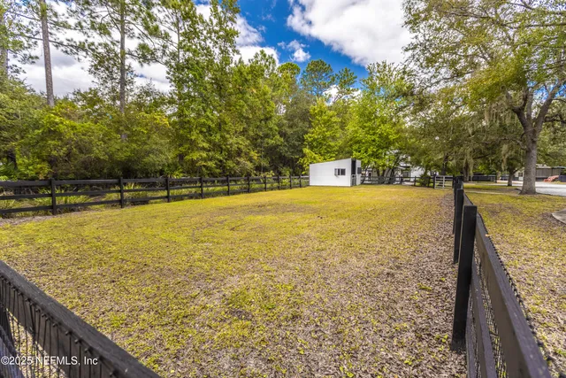a view of dirt yard with a large tree