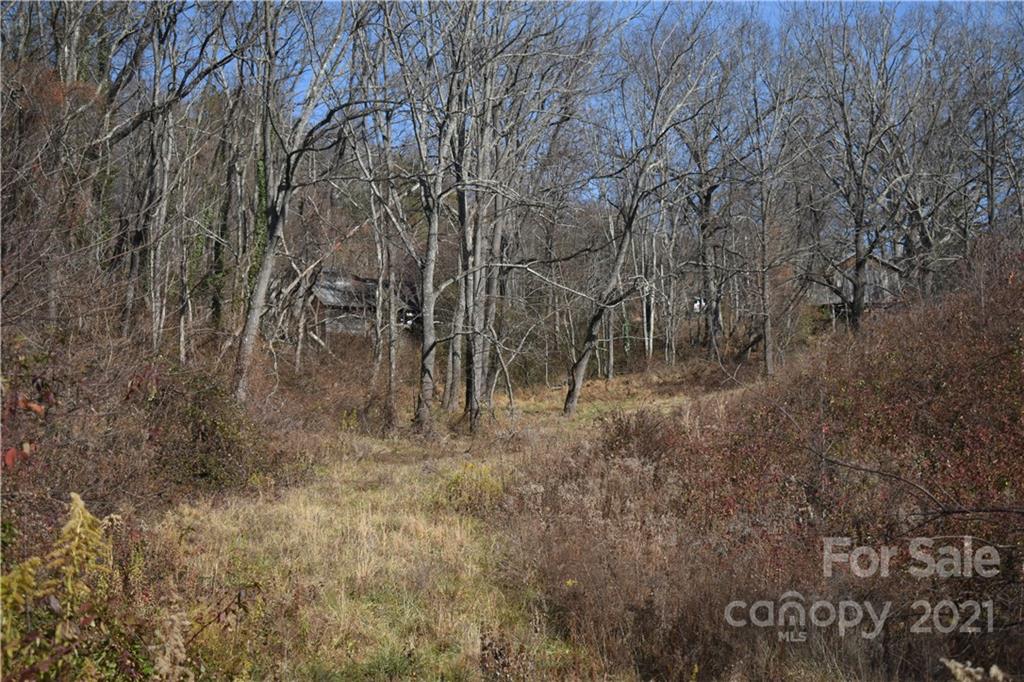 Tbd Toronto Trail Clyde, NC 28721 - Photo 11 of 19