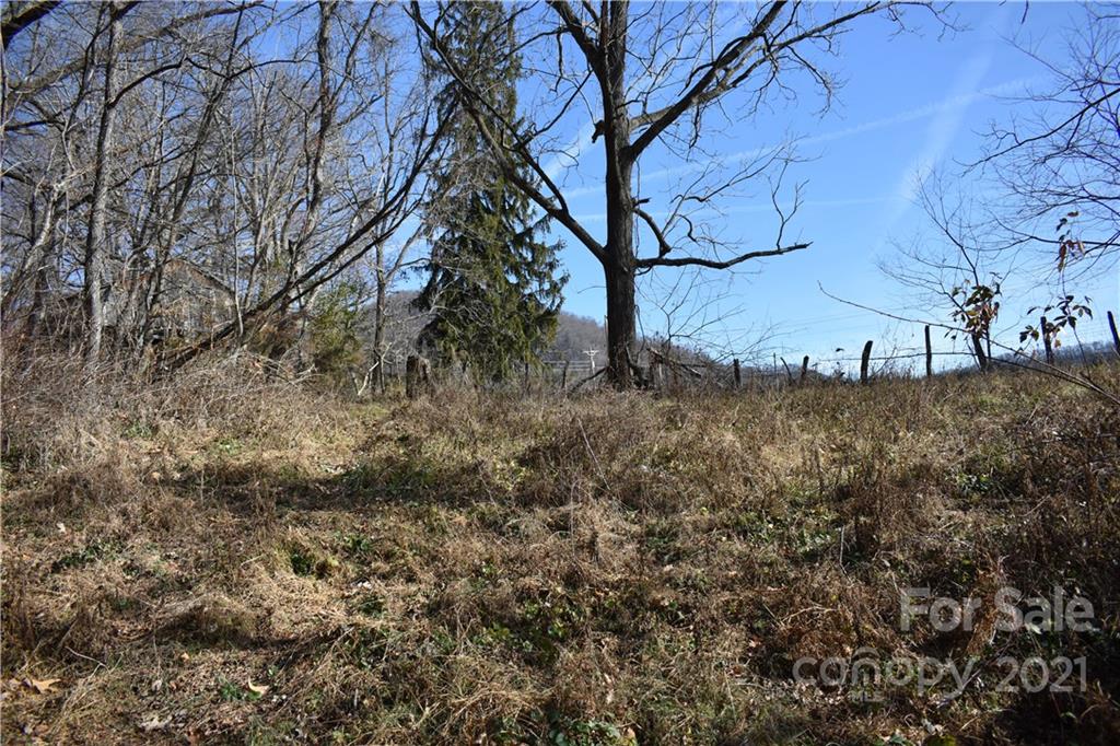 Tbd Toronto Trail Clyde, NC 28721 - Photo 12 of 19