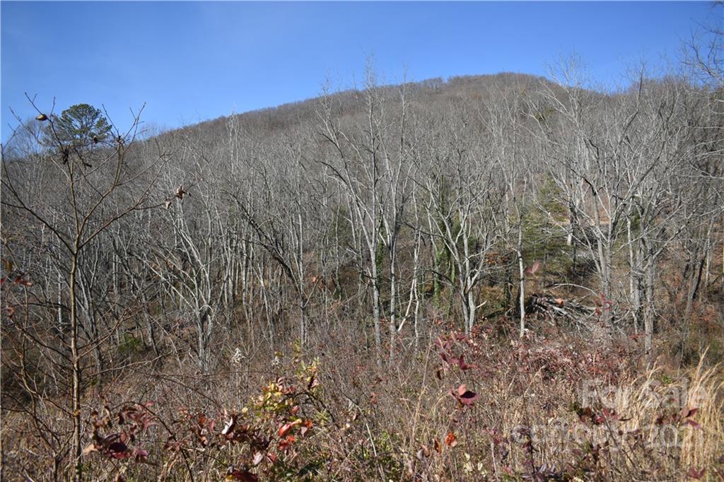 Tbd Toronto Trail Clyde, NC 28721 - Photo 14 of 19