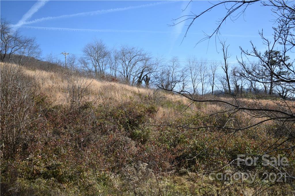 Tbd Toronto Trail Clyde, NC 28721 - Photo 15 of 19