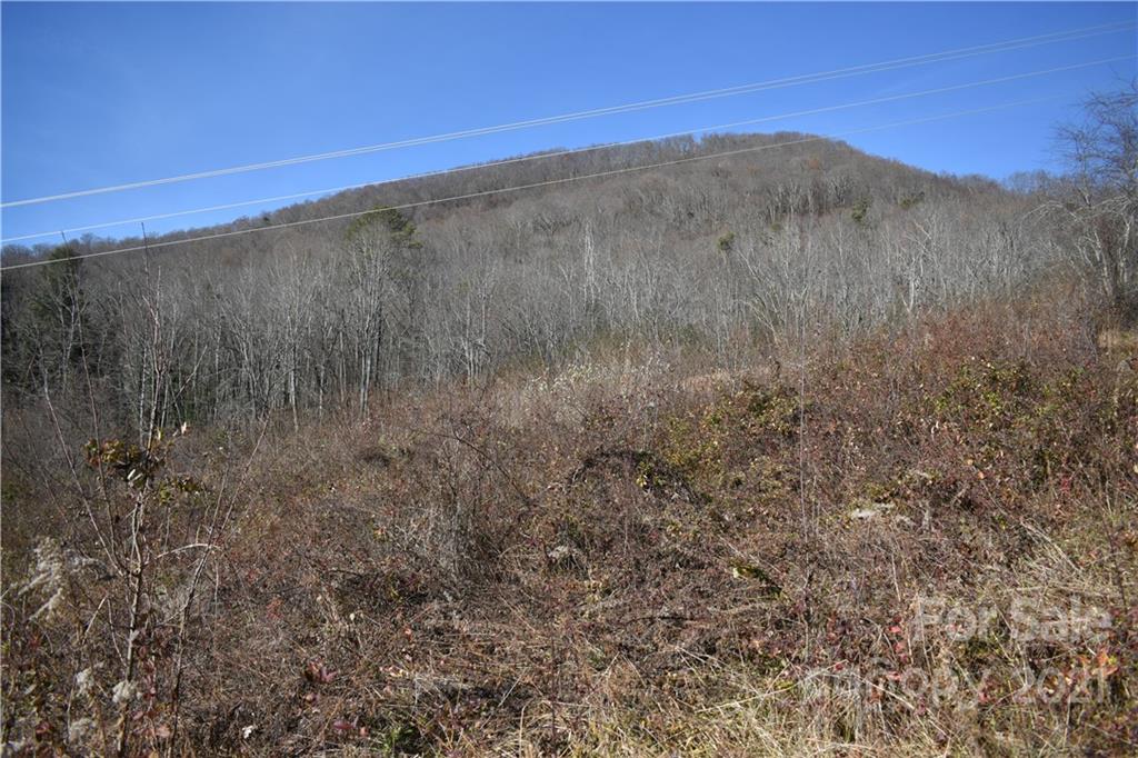 Tbd Toronto Trail Clyde, NC 28721 - Photo 16 of 19