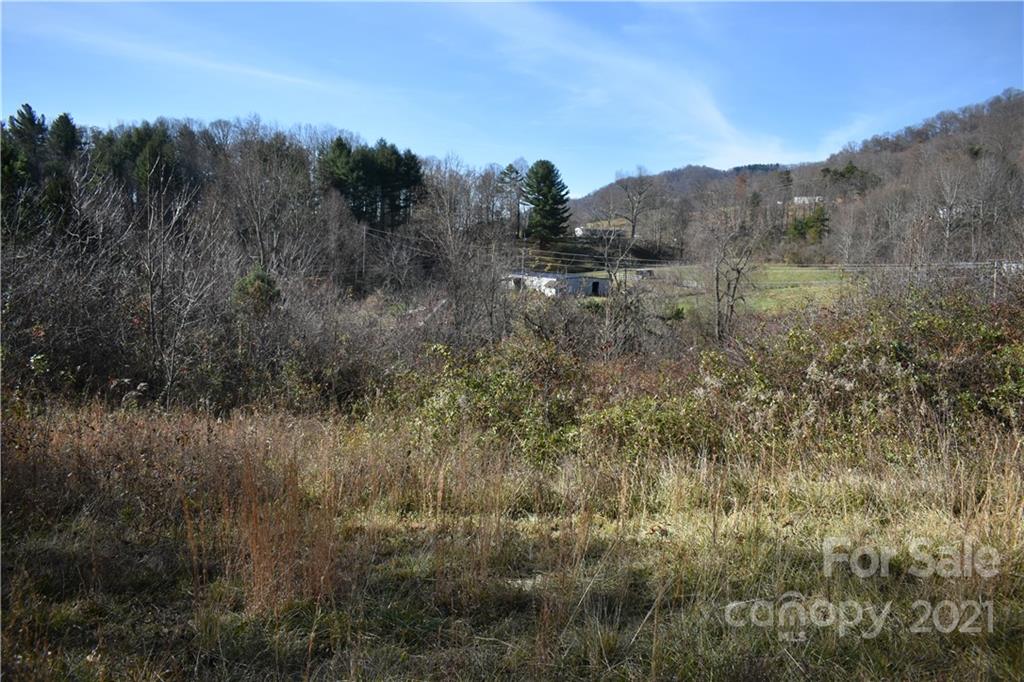 Tbd Toronto Trail Clyde, NC 28721 - Photo 18 of 19