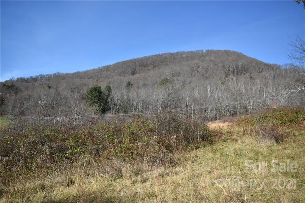 Tbd Toronto Trail Clyde, NC 28721 - Photo 19 of 19