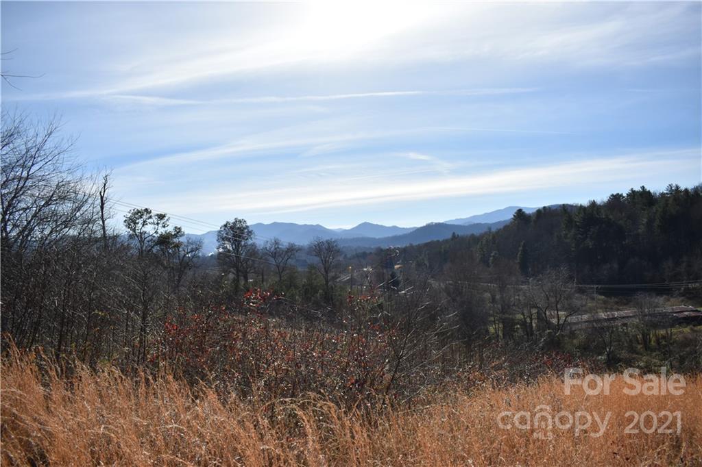 Tbd Toronto Trail Clyde, NC 28721 - Photo 3 of 19