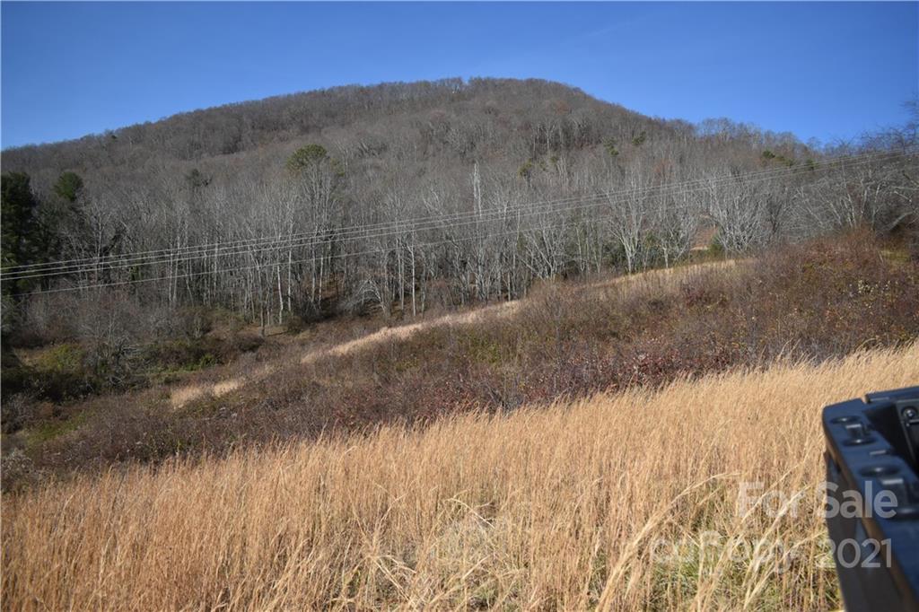 Tbd Toronto Trail Clyde, NC 28721 - Photo 4 of 19