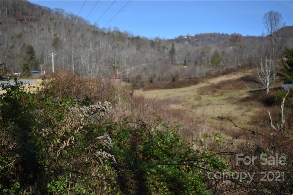 Tbd Toronto Trail Clyde, NC 28721 - Photo 6 of 19