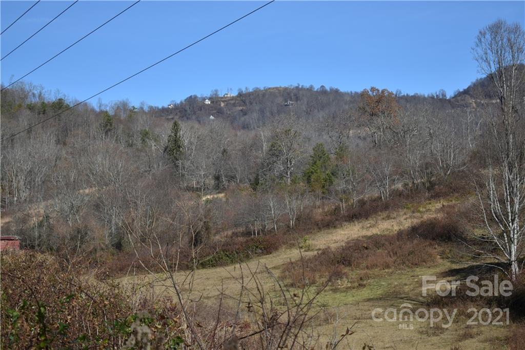 Tbd Toronto Trail Clyde, NC 28721 - Photo 7 of 19