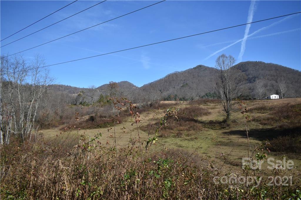 Tbd Toronto Trail Clyde, NC 28721 - Photo 8 of 19