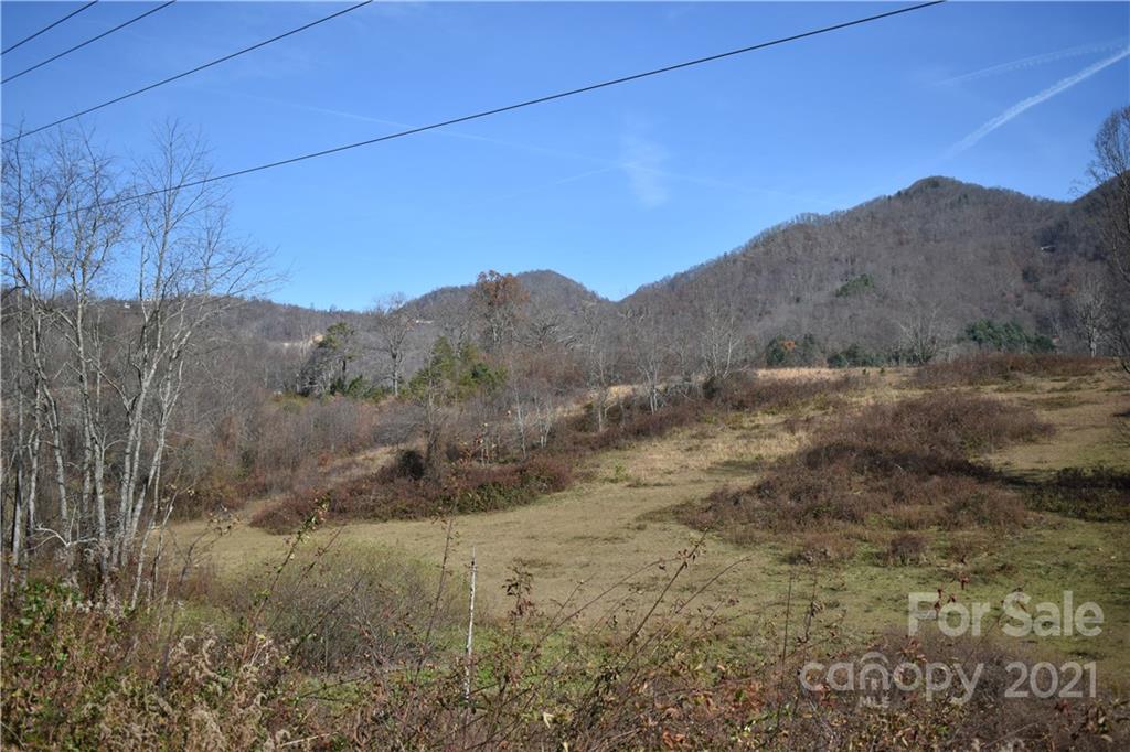 Tbd Toronto Trail Clyde, NC 28721 - Photo 9 of 19