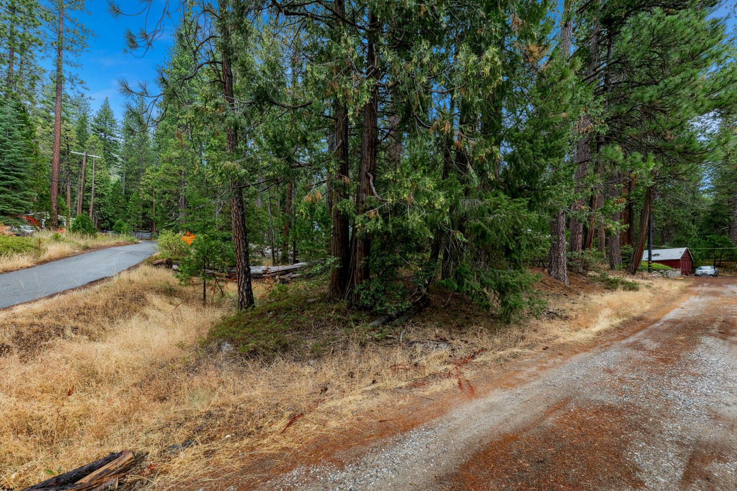 1 Rd To Mandalay Kyburz, CA 95720 - Photo 4 of 10 a view of outdoor space with trees all around