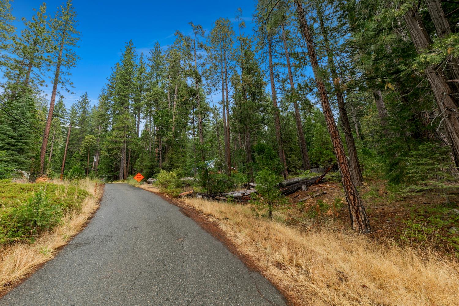 1 Rd To Mandalay Kyburz, CA 95720 - Photo 6 of 10