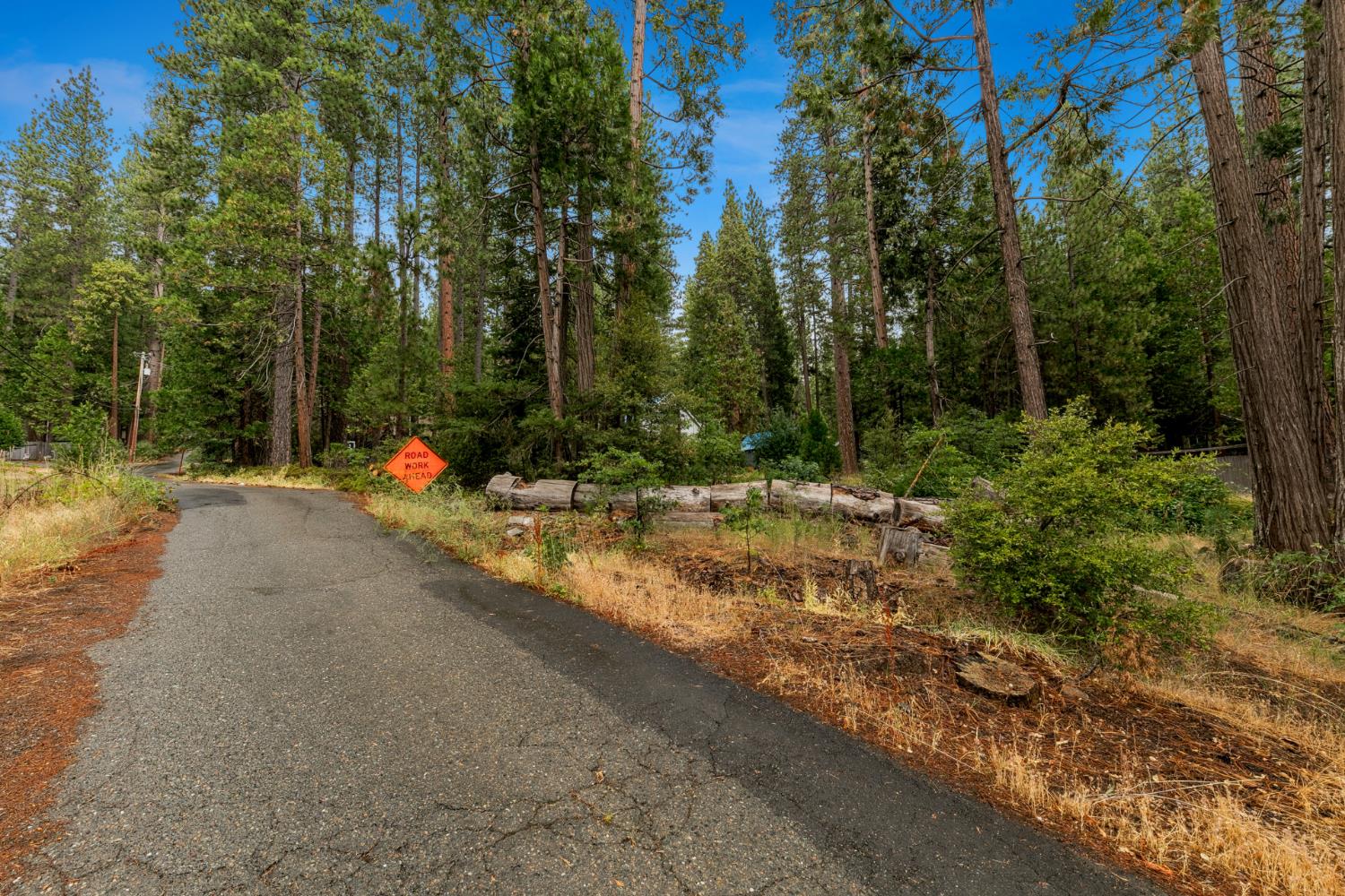 1 Rd To Mandalay Kyburz, CA 95720 - Photo 7 of 10 a view of a park with of trees