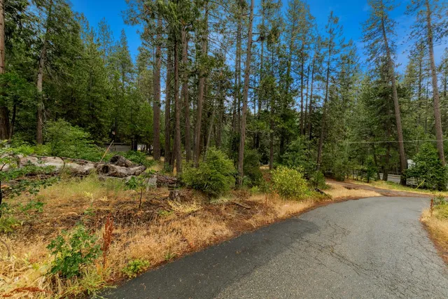 a row of trees and mountains in the background