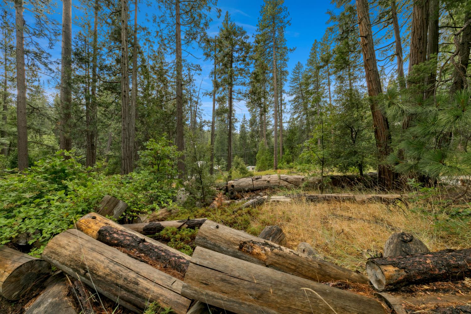 1 Rd To Mandalay Kyburz, CA 95720 - Photo 9 of 10 a view of a yard with chairs