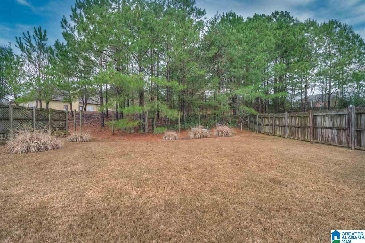 982 Wren Way Mount Olive, AL 35117 - Photo 5 of 20