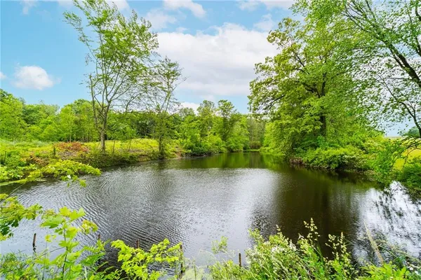 a view of a lake with a garden