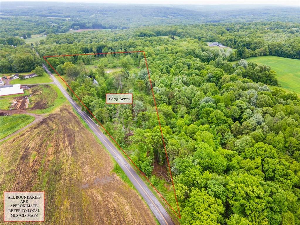 4109 High Hill Road West Middlesex, PA 16159 - Photo 7 of 10 a view of a green field with a mountain in the background