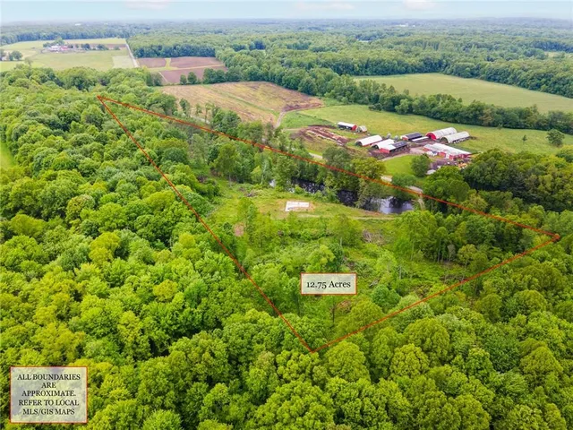 a view of a bunch of trees and street in the back