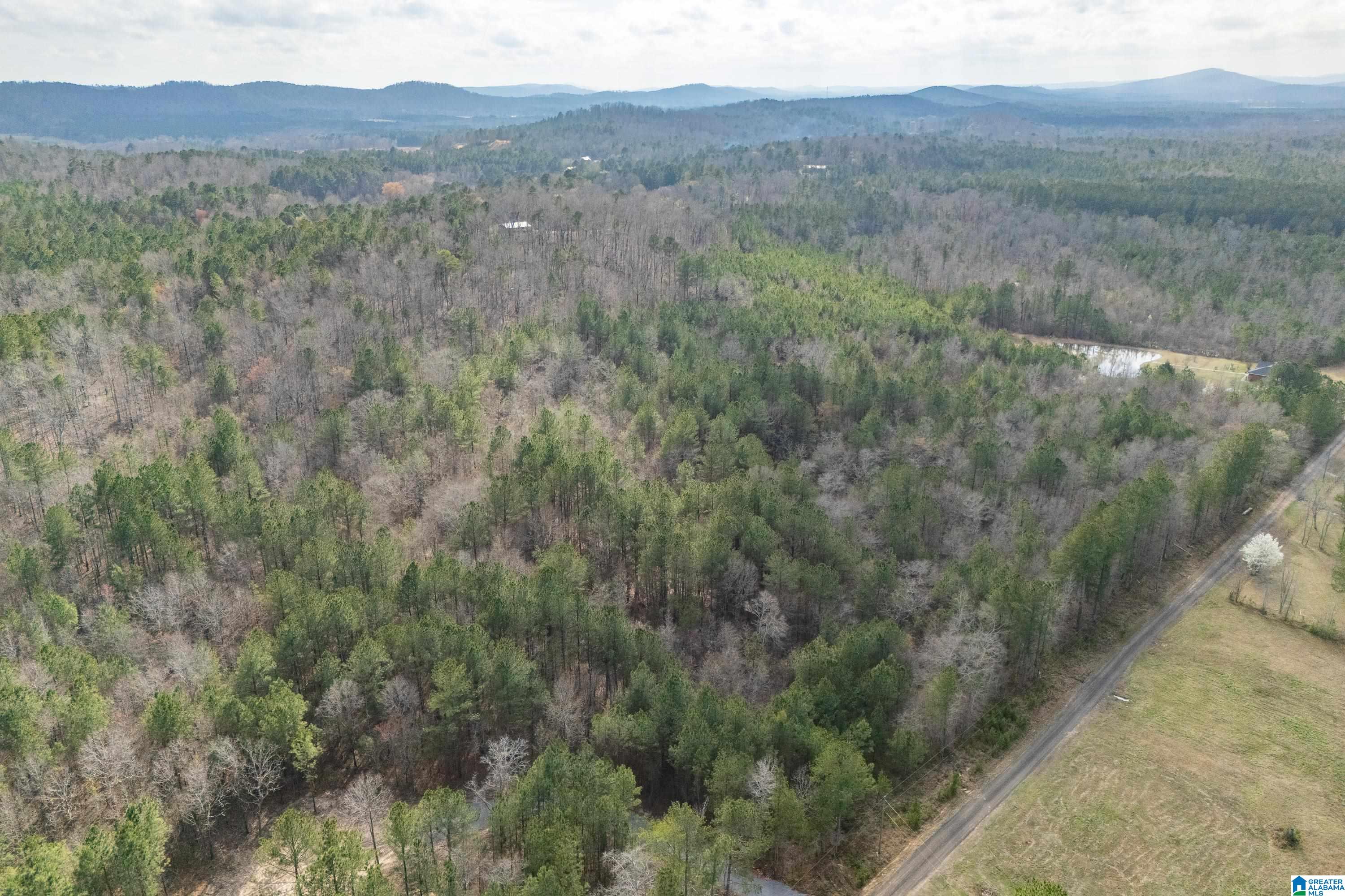 7 Fisher Phillips, Unit 7 Ashville, AL 35953 - Photo 14 of 28