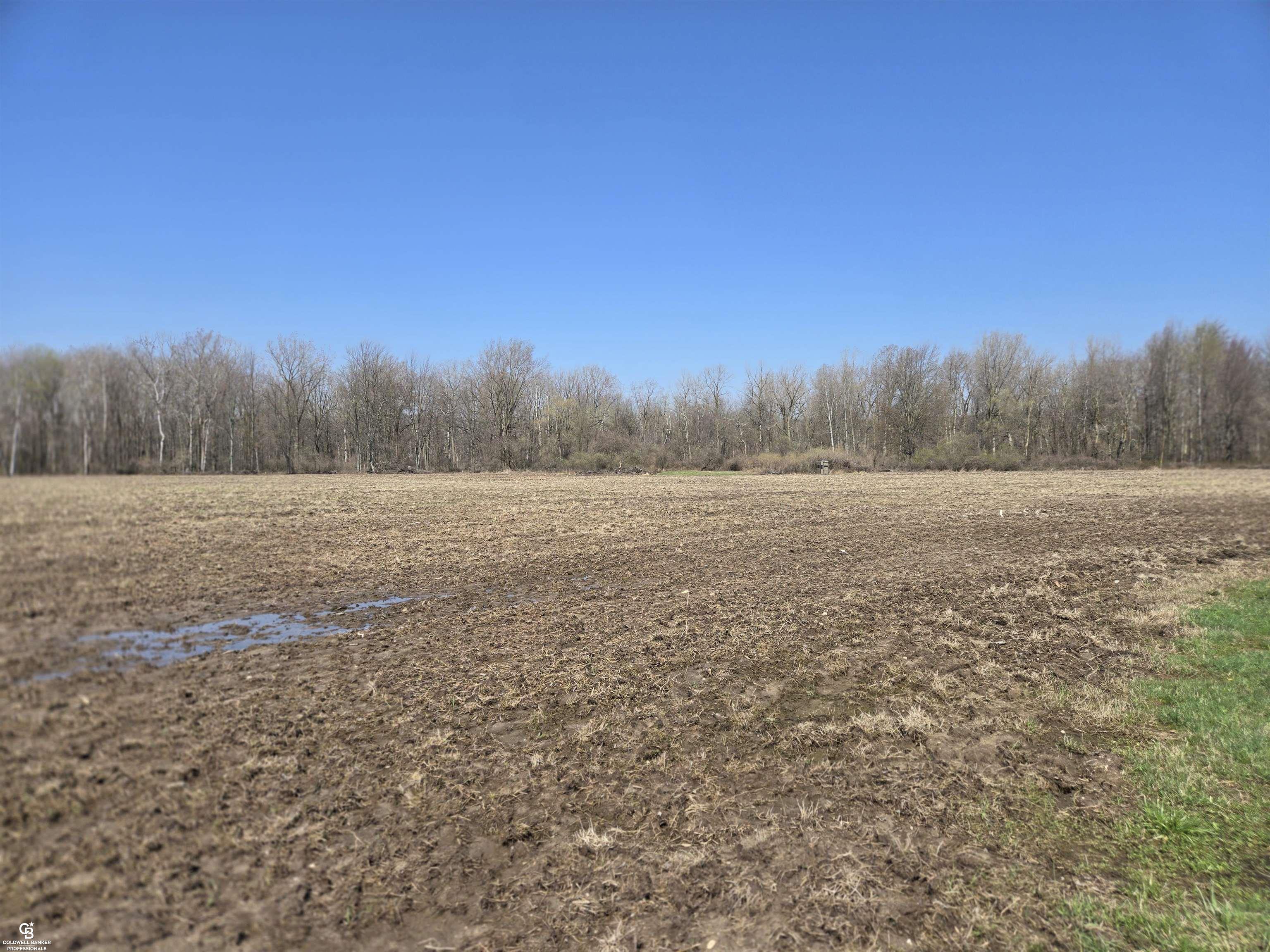 1182 Fetting Road Carsonville, MI 48419 - Photo 10 of 18
