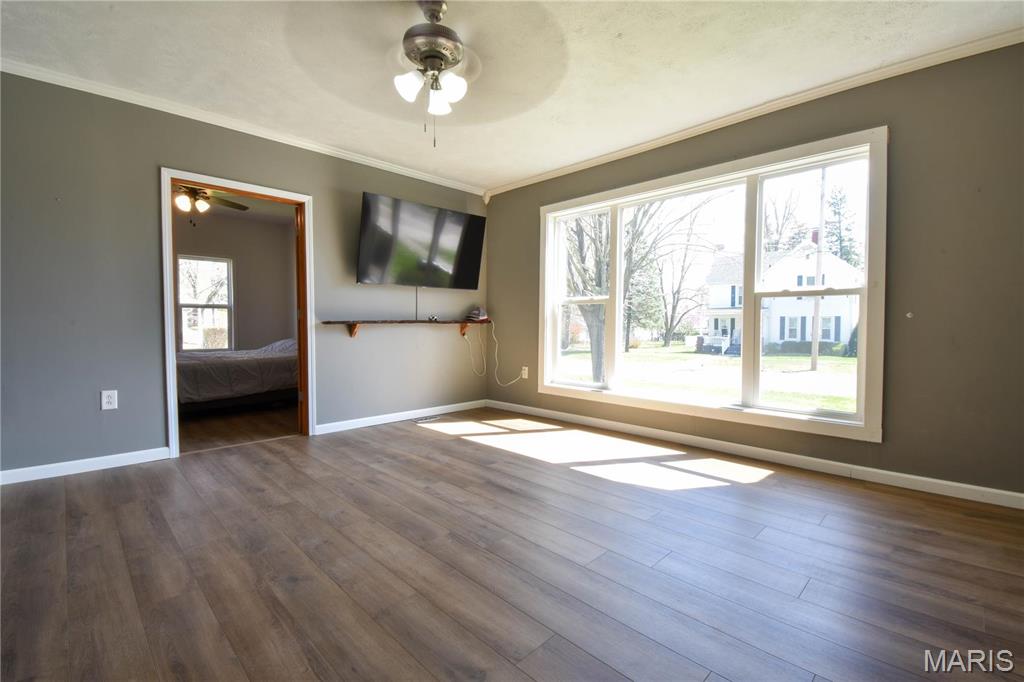 155 East Brown Street Waverly, IL 62692 - Photo 15 of 32