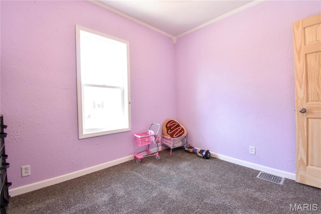 155 East Brown Street Waverly, IL 62692 - Photo 19 of 32