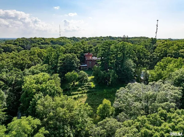 a view of a garden