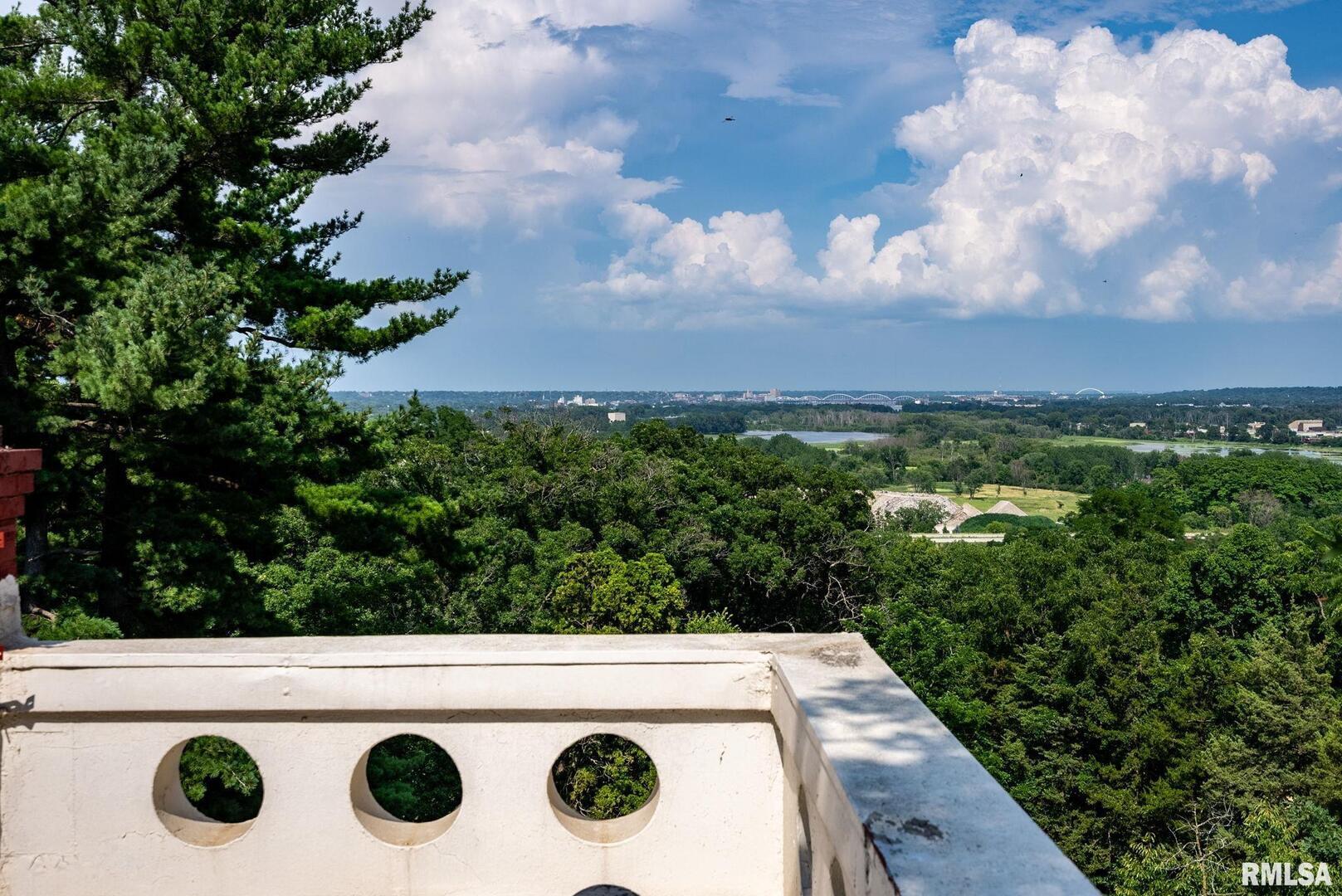5418 Chapel Hill Road Davenport, IA 52802 - Photo 16 of 69 a view of a outdoor space with trees in the background