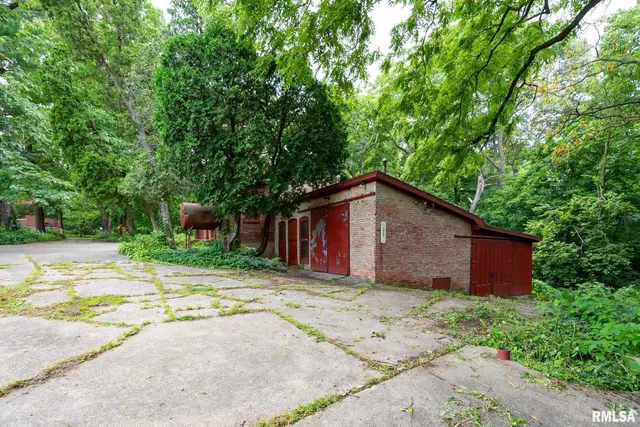a view of a backyard with plants and large trees