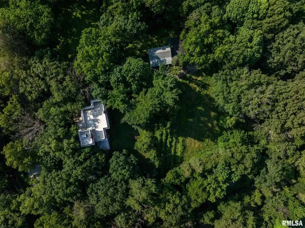 an aerial view of green landscape with trees houses and mountain view