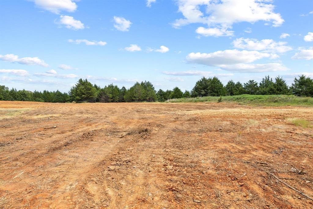 1445 Cedar Mills Road Gordonville, TX 76245 - Photo 20 of 28 Expansive cleared lot
